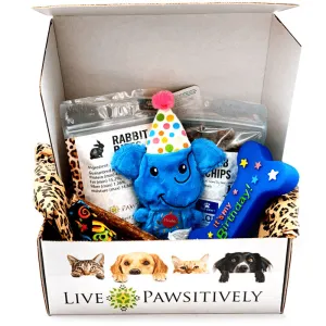 Birthday Boy Pawsitive Package