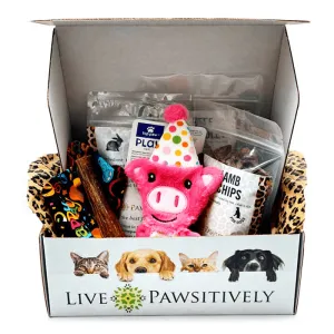 Birthday Girl Pawsitive Package