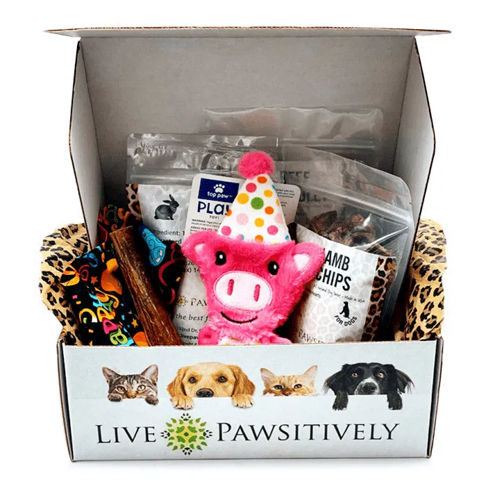 Birthday Girl Pawsitive Package