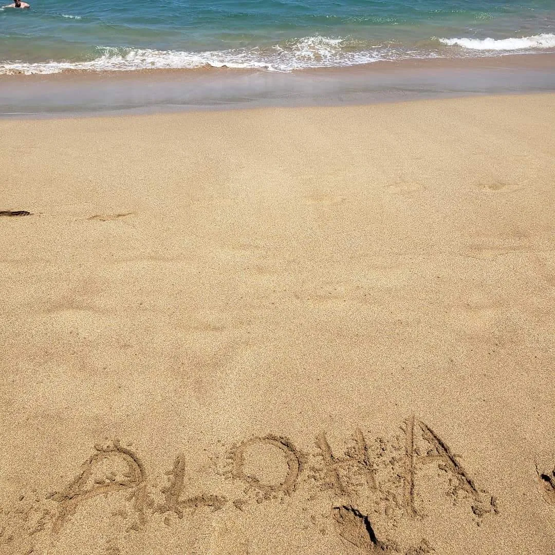 Hawaii Tote (by Karen Lassman-Eul)