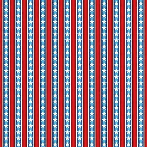 Life's a Kick by Blank Quilting STARS & STRIPES/MULTI