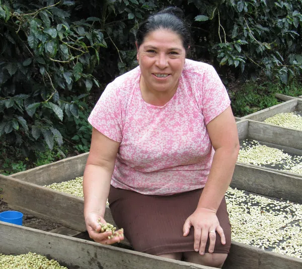 NICARAGUA BLANCA NIEVE