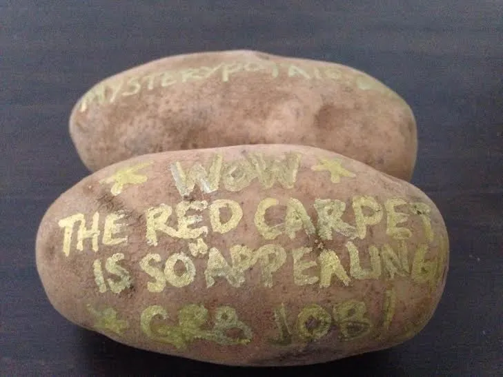 VIP Potato Gift Box