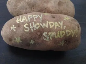 VIP Potato Gift Box
